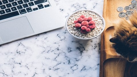 天貓國(guó)際服務(wù)商入駐條件與運(yùn)營(yíng)資質(zhì)要求