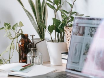 香港人在法國結婚需辦理內(nèi)地出生公證及海牙認證的流程