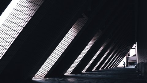 Temu電商平臺(tái)日銷量波動(dòng)優(yōu)化策略分析