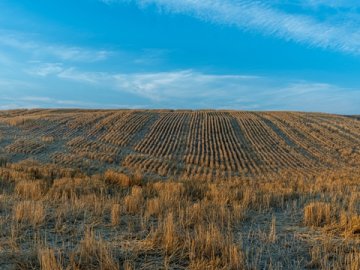 2025美國商標注冊費用調(diào)整，基礎(chǔ)費350美元，附加費或翻倍